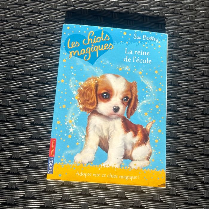 Livres enfants et roman - photo numéro 2