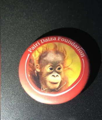 Badge Pairi Daiza Mathaï Orang-outan