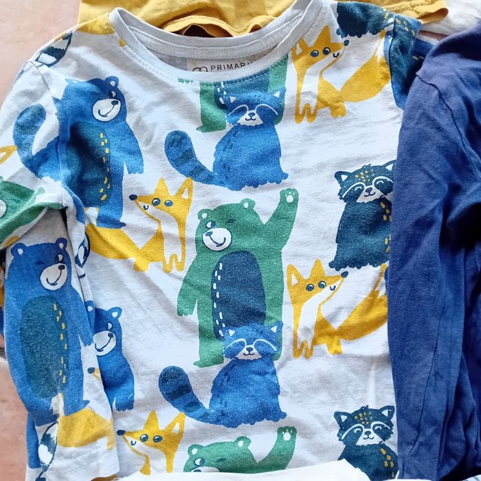 Lot hauts - photo numéro 5