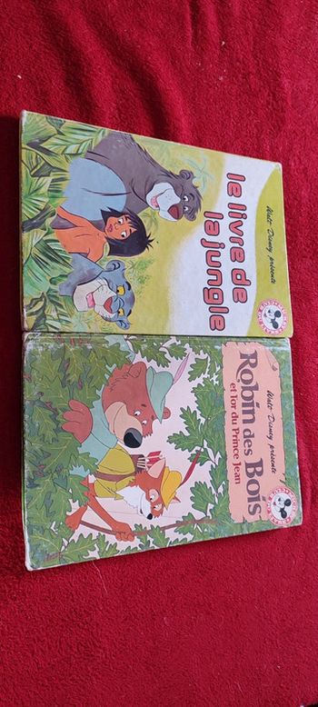 Vieux livre Disney club du livre