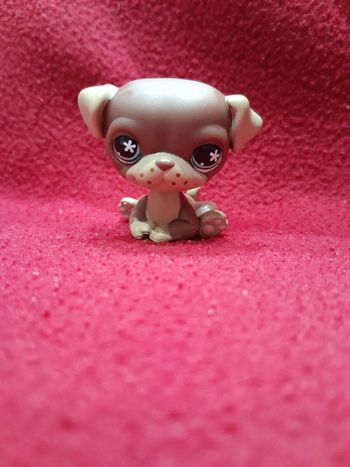 Figurine Petshop A15