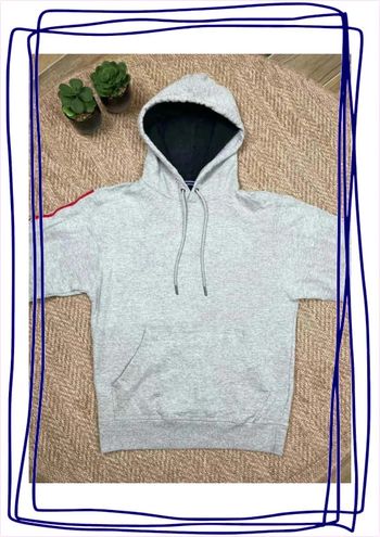 Pull / sweat à capuche Champion gris