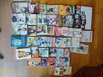 Lot 40 tomes noeve grafx