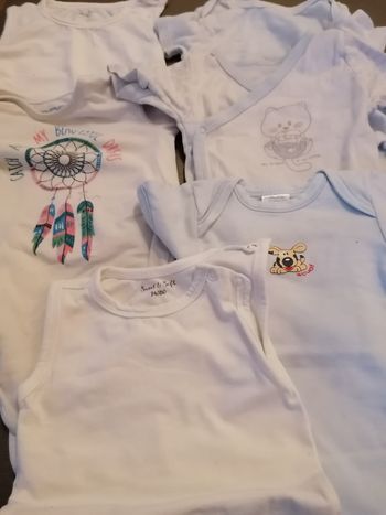 Bodies  9 à 12 mois