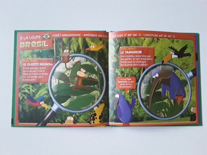 Lot de 2 livres Macdo Les animaux les plus - photo numéro 5