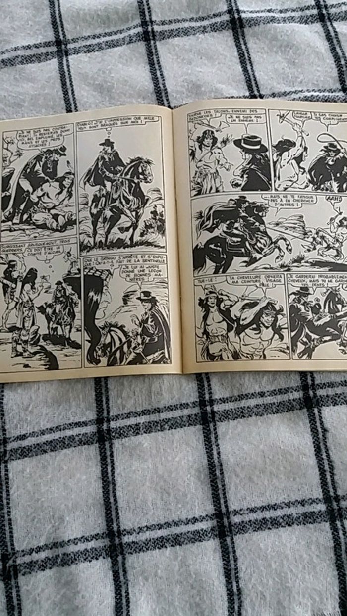 Bd zorro - photo numéro 3