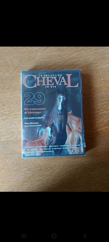DVD
