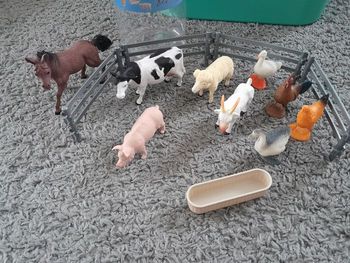 Animaux de la ferme Hema