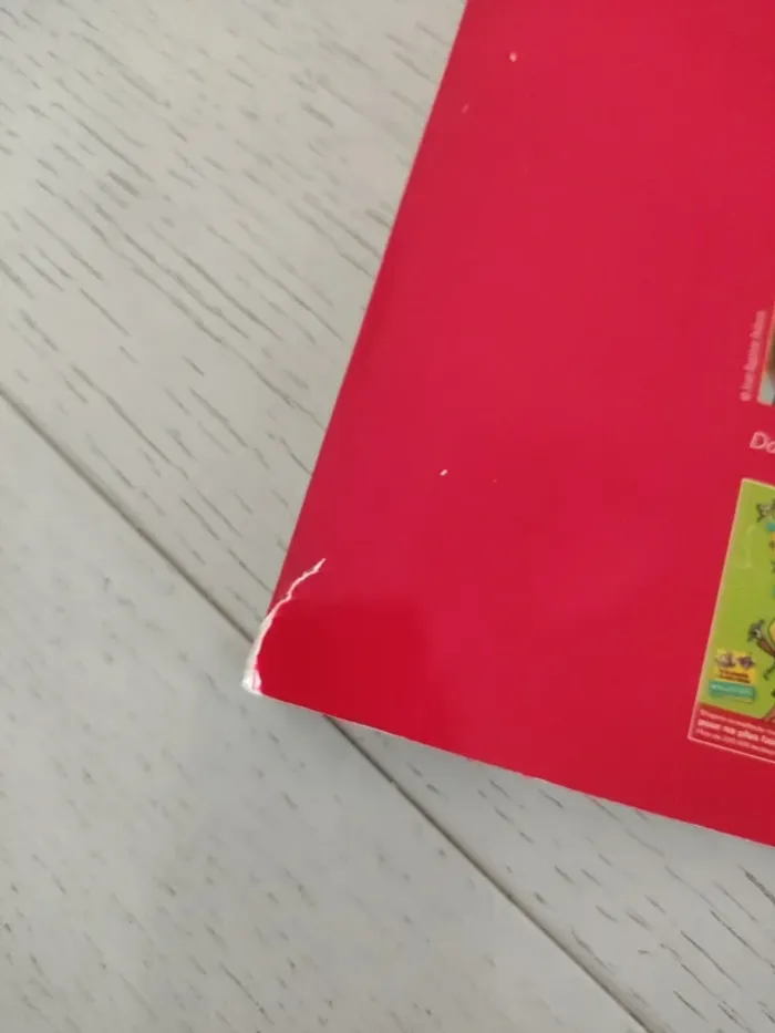 cahier "Hugo et les rois – La roue des mots difficiles" - photo numéro 9