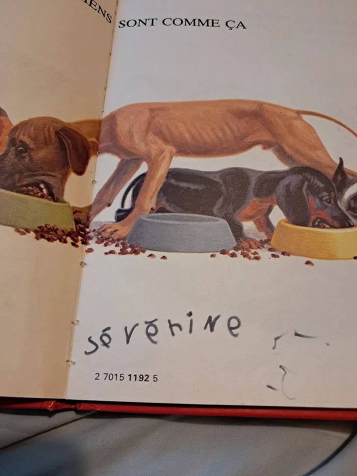 Livre Les petits chiens sont comme ça - photo numéro 4