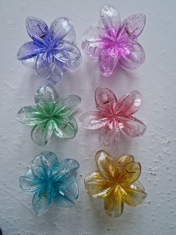 Lit de 6 pinces à cheveux pailletées 