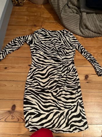 Robe zèbré