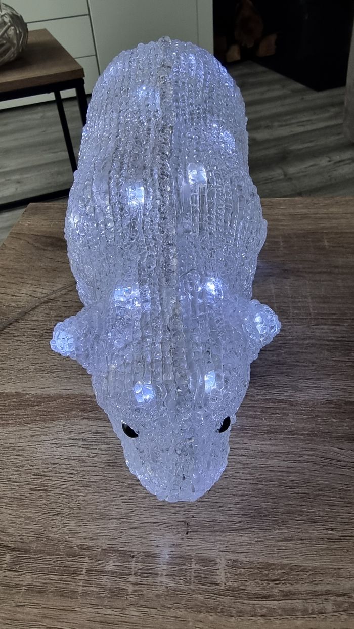 OURS LUMINEUX - photo numéro 3