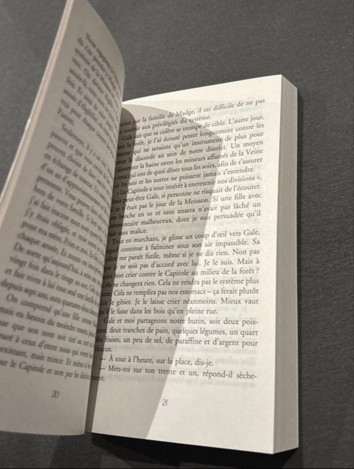 Livres  Hunger Game - photo numéro 4