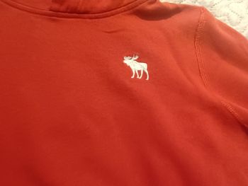 Sweat  a Capuche Abercrombie