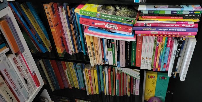 Livres jeunesses je vide les etageres bébé et jeunesses pour avoir de la place, à vos recherches - photo numéro 5