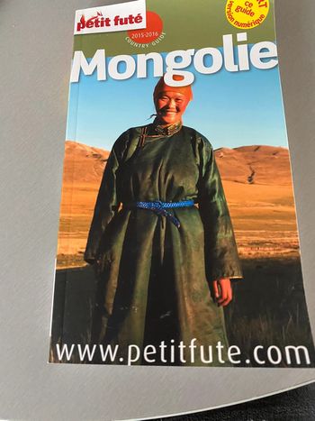 Petit futé Mongolie
