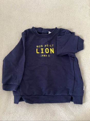 Pull Carrément beau taille 18 mois