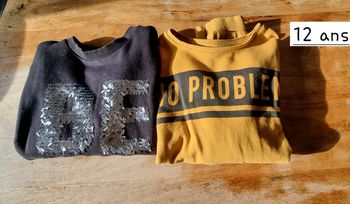 Lot 2 sweats fille 12 ans