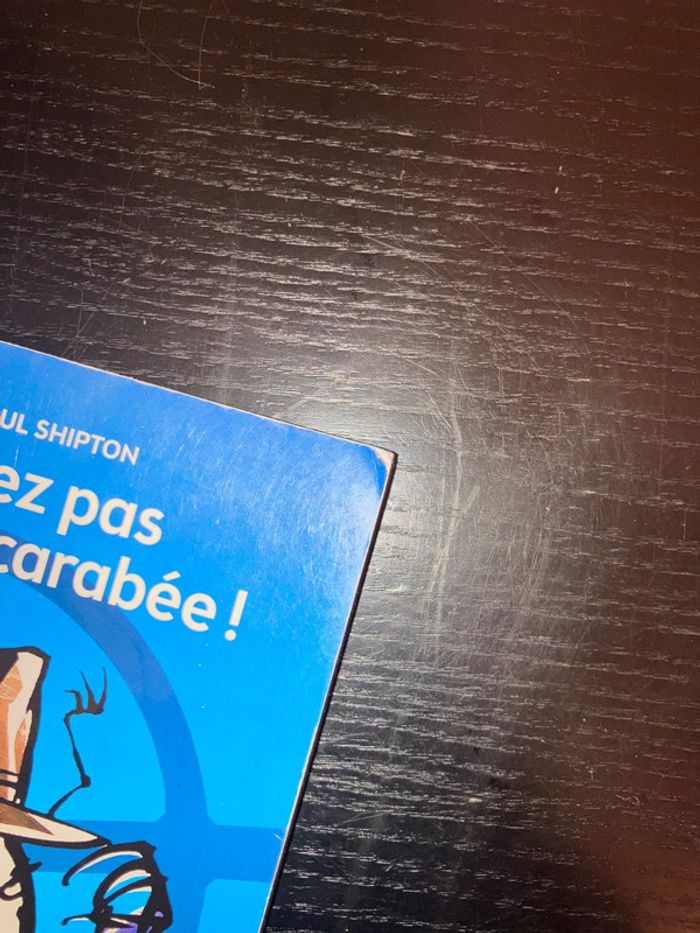 Livre. Ne tirez pas sur le scarabée ! - photo numéro 6