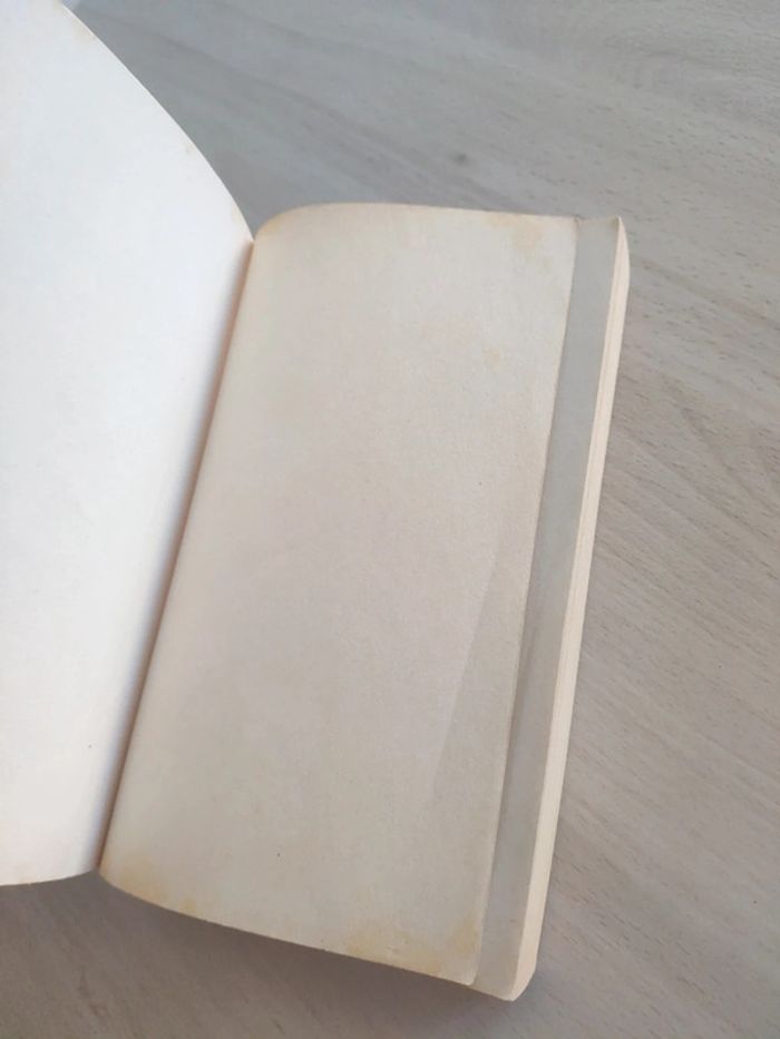 Livre les Ogres du Gange le siècle des chimères tome 1 Cavalier - photo numéro 7