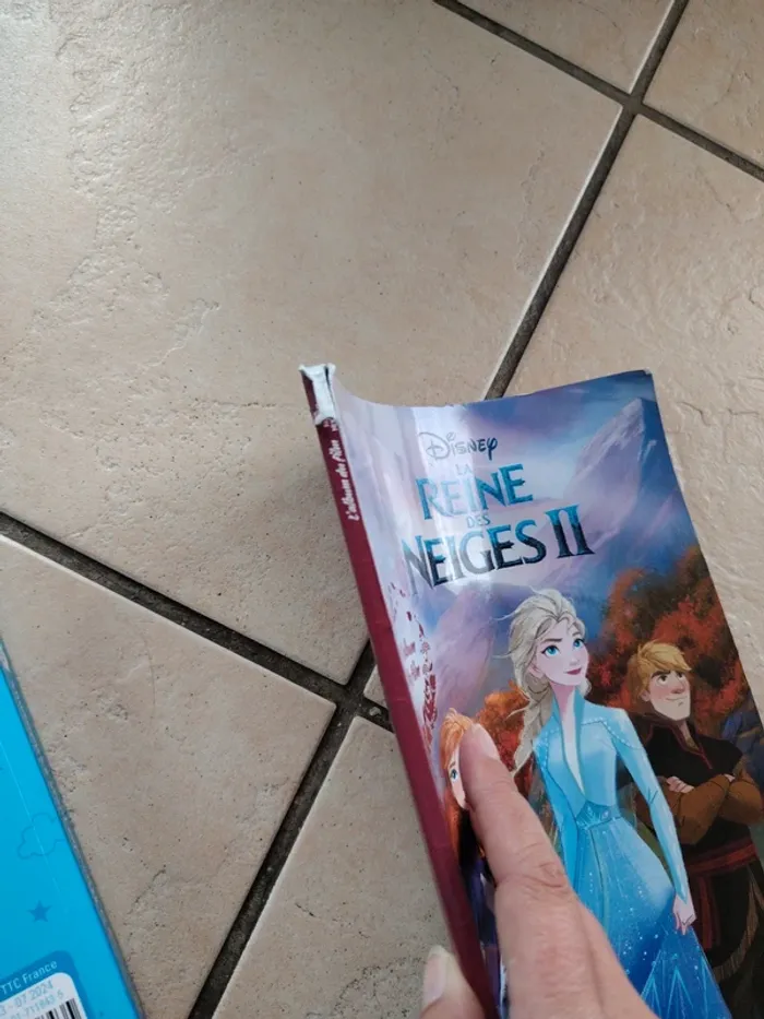 Livres reine des neiges - photo numéro 5