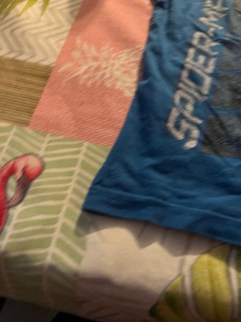 Tee-shirts Spiderman