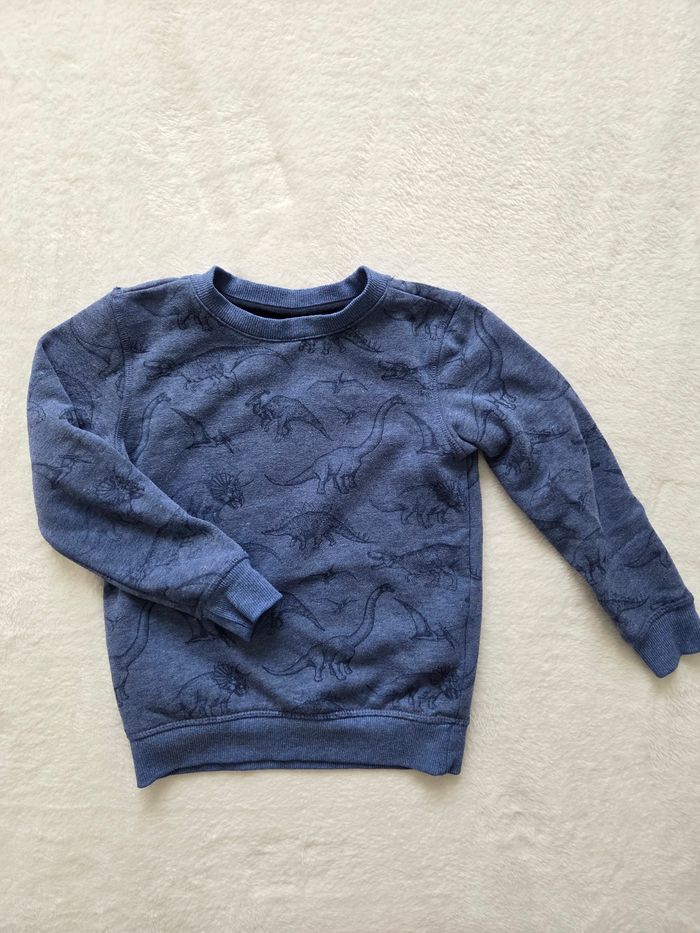Pull dinosaures