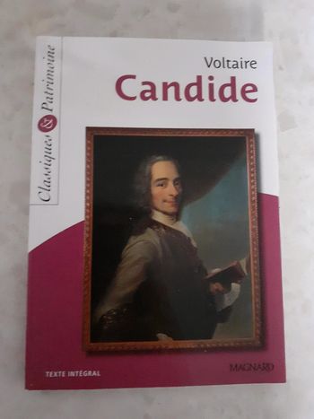 Candid ou l optimisme