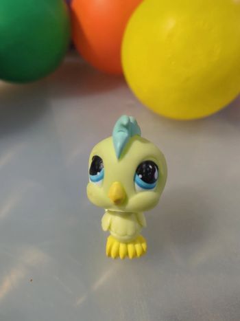 littlest Petshop Canaris