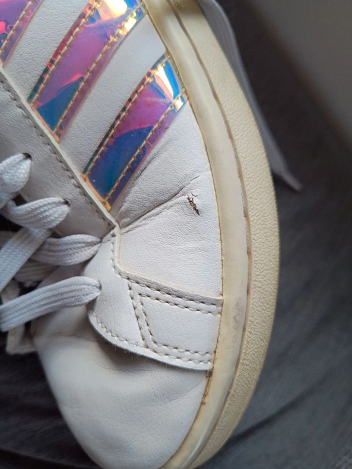 Baskets adidas taille 38 2/3 coloris blanc - photo numéro 5