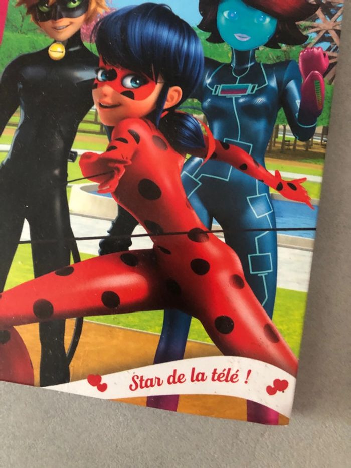 Livre Miraculous - photo numéro 2