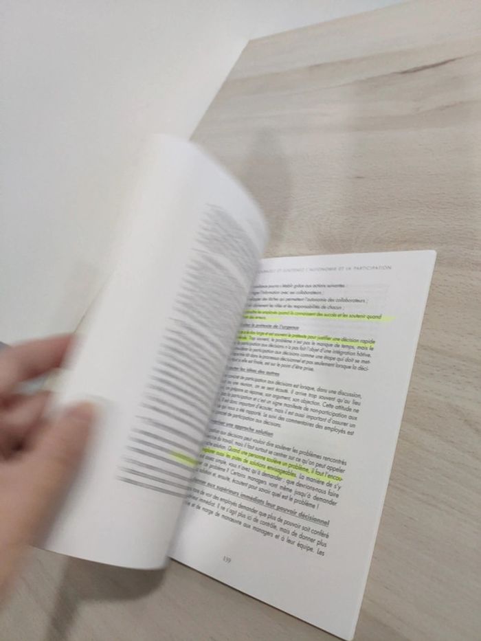 Livre management équipe 7 leviers améliorer bien être efficacité professionnelle Brun - photo numéro 9