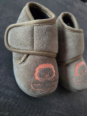 Chaussons lions