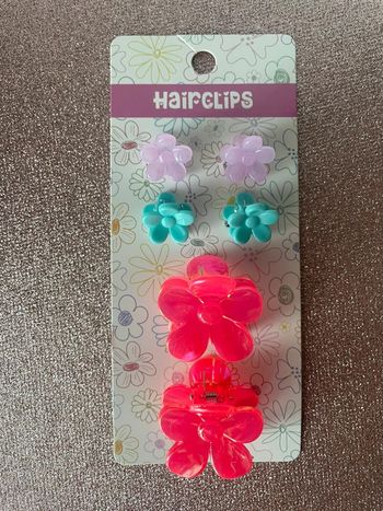 Lot pinces pour cheveux