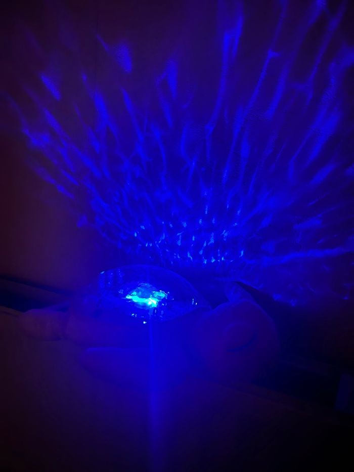 Tortue Cloud b Verte - photo numéro 4