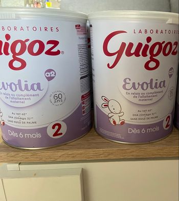 Guigoz évolia 2eme âge x3
