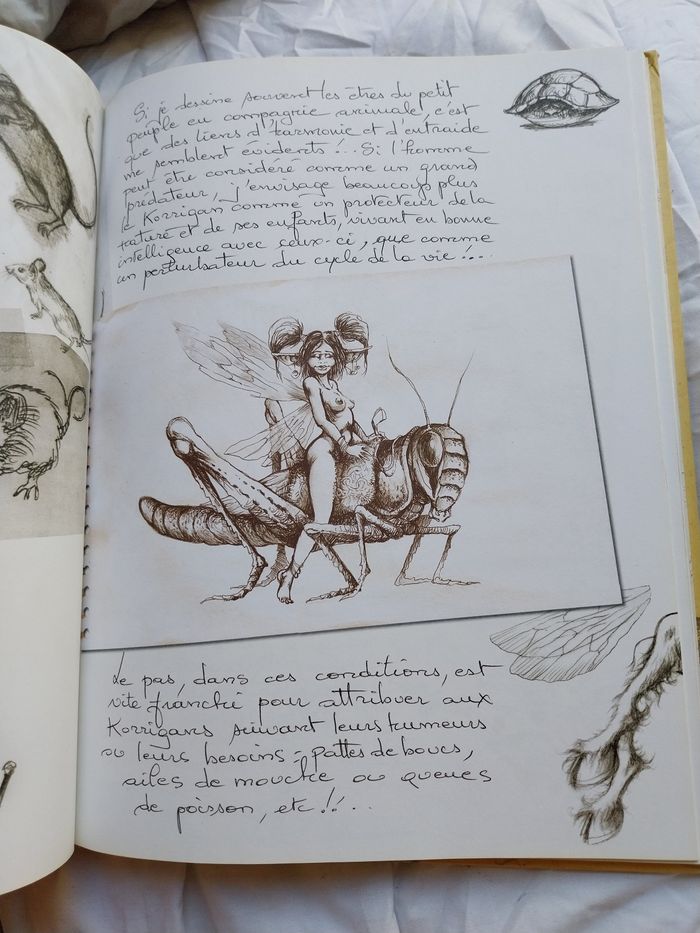 Livre de croquis corrigan - photo numéro 5