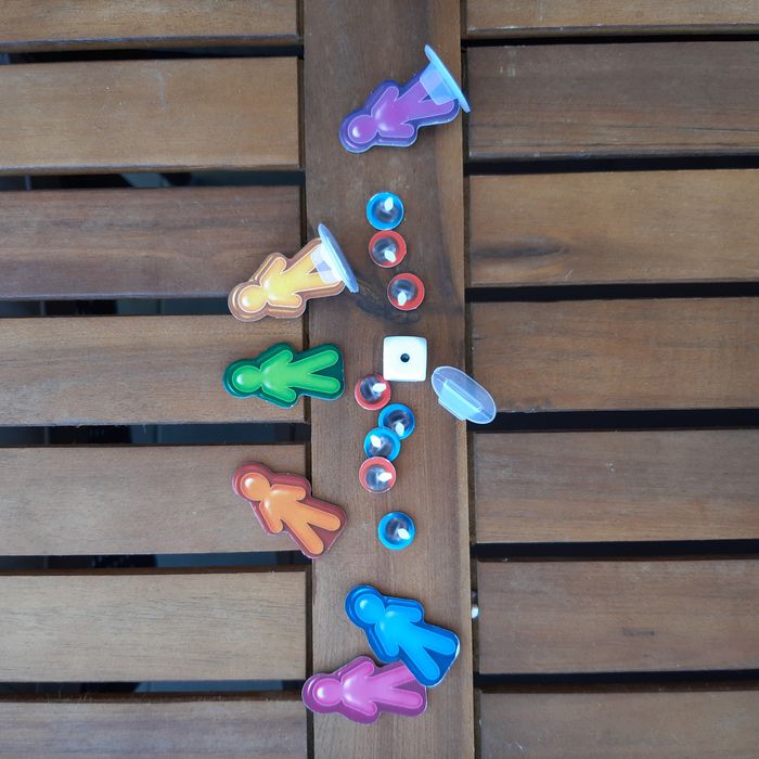 Une saison au Zoo – Jeu éducatif du soigneur – Lansay - photo numéro 5