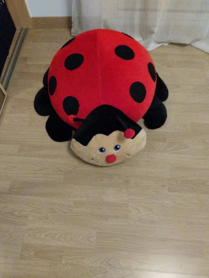 coccinelle géante 76/56cm