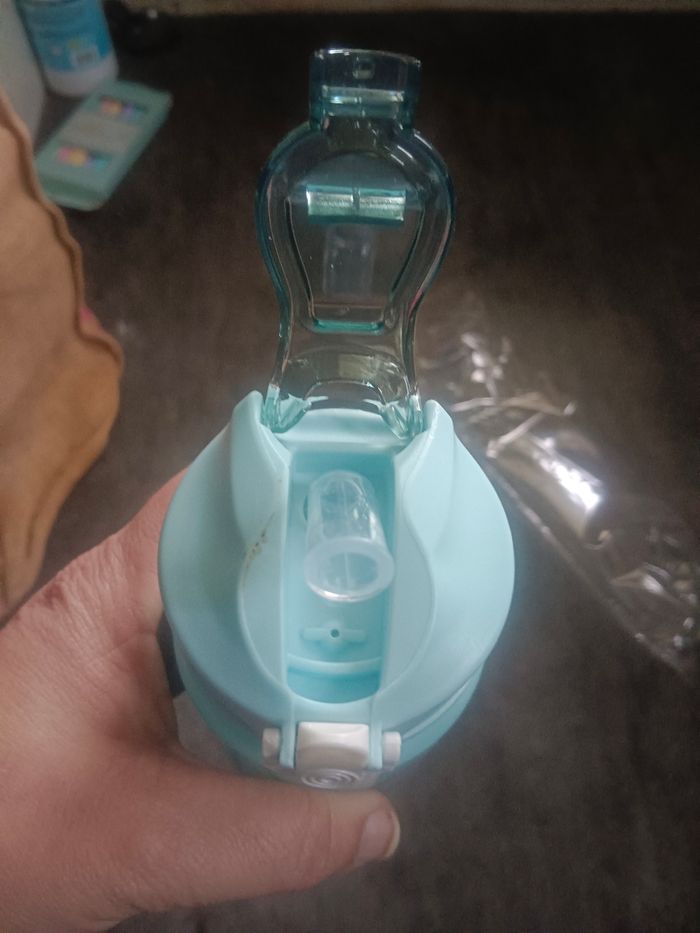 Gourde - photo numéro 5