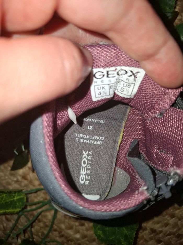 Geox 21 - photo numéro 8