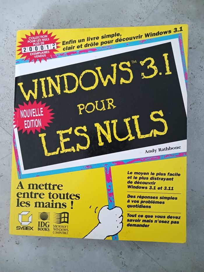 livre windows 3.1 pour les nuls