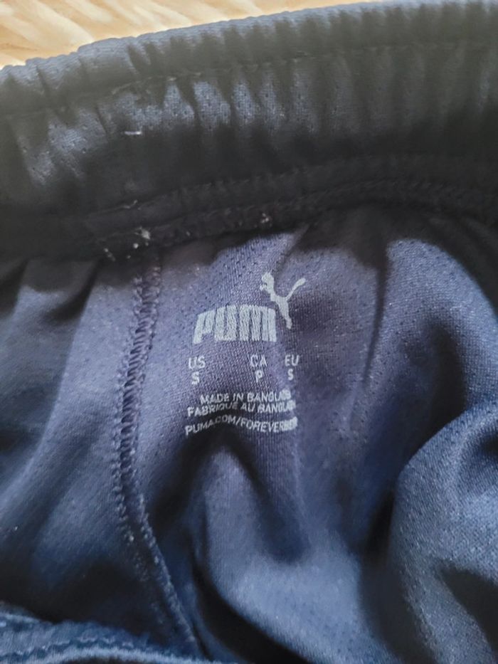 Short puma - photo numéro 4
