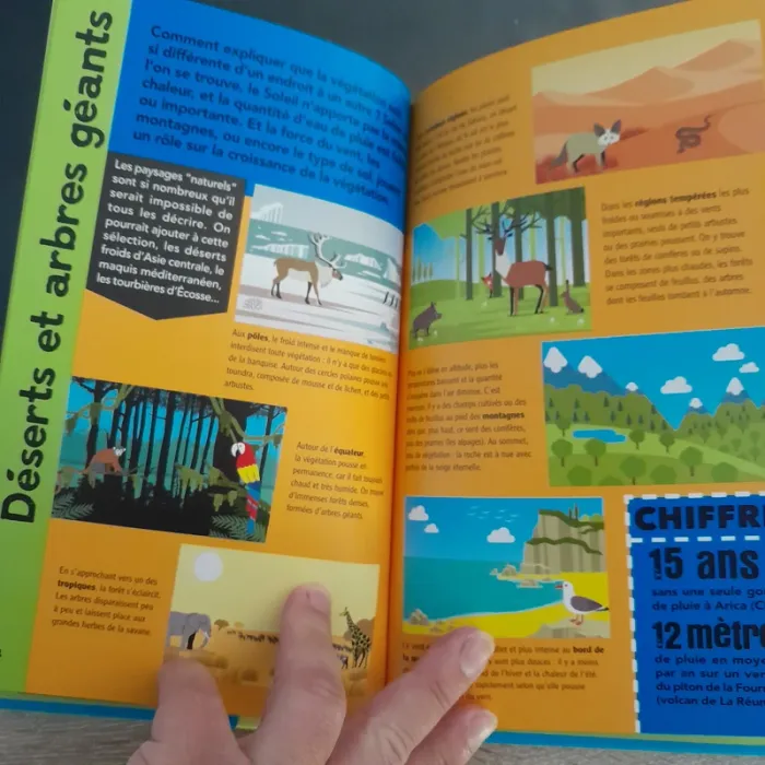 livre 6/8 ans tout savoir en un coup d'oeil - La Terre - photo numéro 3