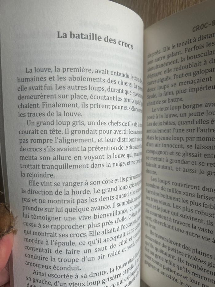 Croc-blanc - photo numéro 4