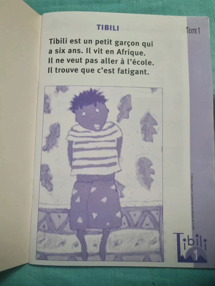 Ecrit livre apprendre à lire au CP - photo numéro 3
