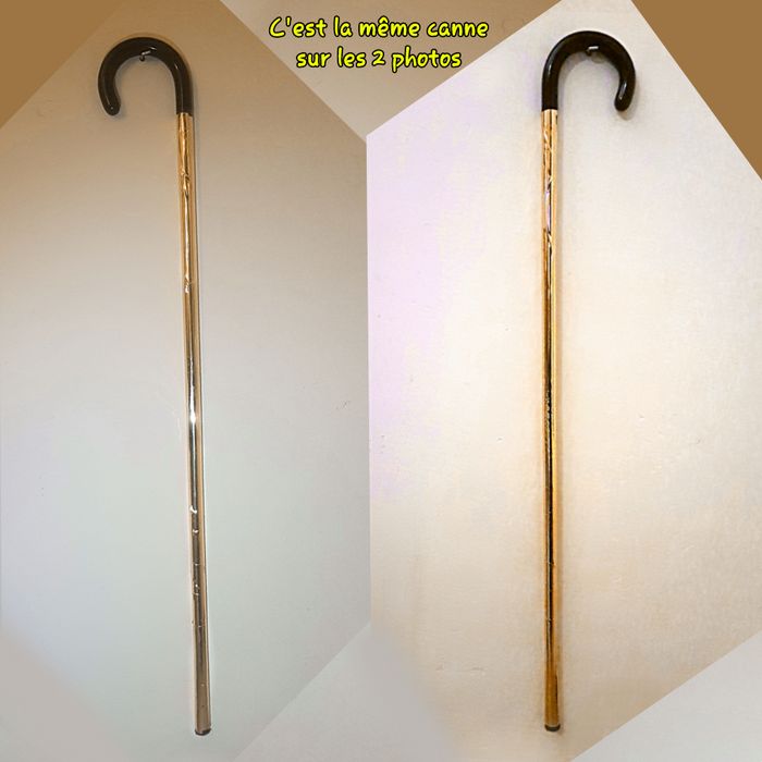 Canne de spectacle, doré brillant - photo numéro 4
