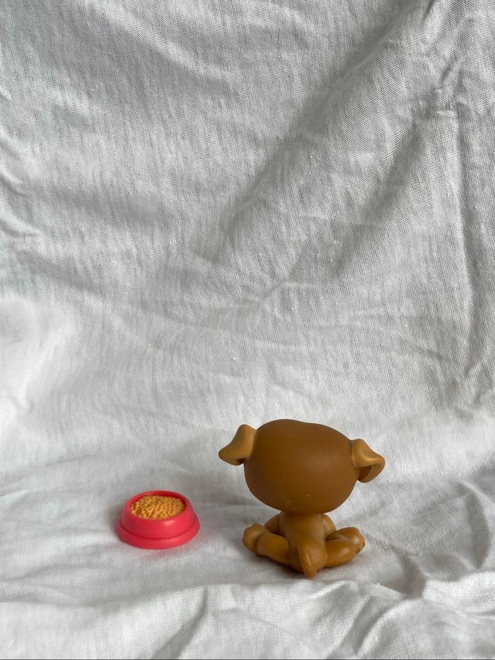 lps carlin - photo numéro 3