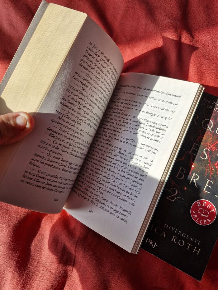 Intégrale Saga Marquer les ombres Best Seller - photo numéro 5